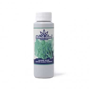 ALGAE PLUS 250ML-WONDERLAND