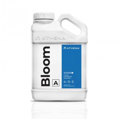 BLOOM A+B 3.75LT-ATHENA