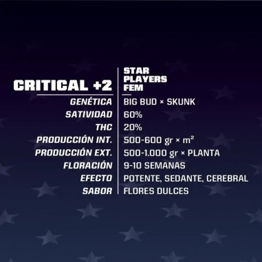 CRITICAL +2 FEM X2-BSF