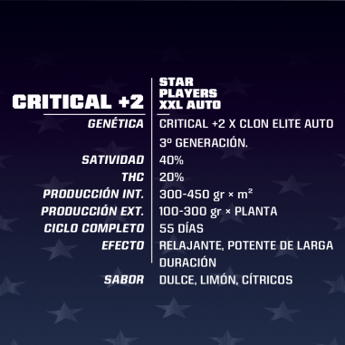 CRITICAL +2 XXL AUTO X2-BSF