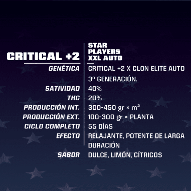CRITICAL +2 XXL AUTO X7-BSF