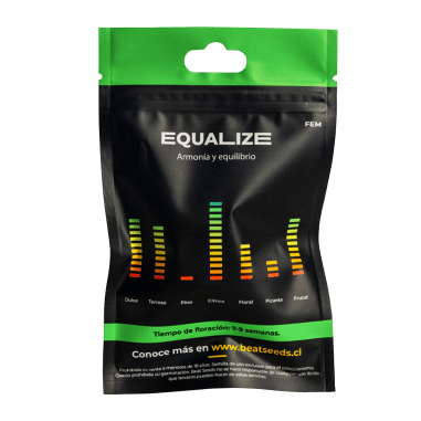 EQUALIZE FEM X4 - BEAT SEEDS