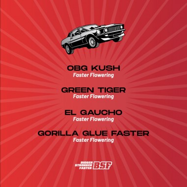 FASTER AND FURIOUS FASTER MIX FEM X4-BSF