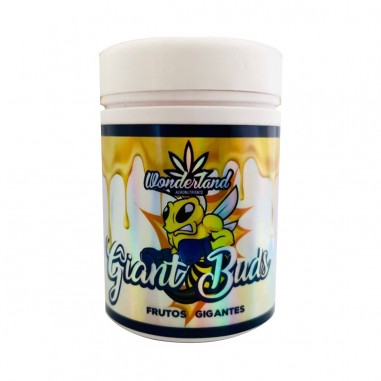 GIANT BUDS PK52-34 120GR-WONDERLAND