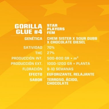 GORILLA GLUE N4 FEM X2-BSF