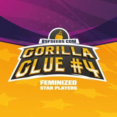 GORILLA GLUE N4 FEM X2-BSF