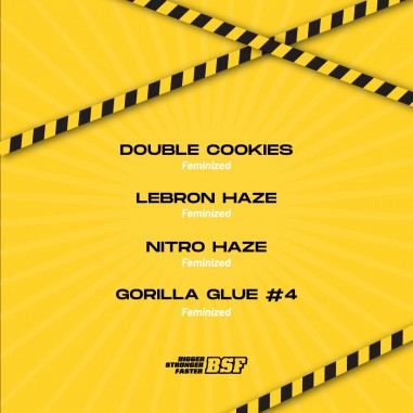 HIGH VOLTAGE MIX FEM X4-BSF