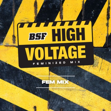 HIGH VOLTAGE MIX FEM X4-BSF