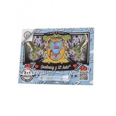 JEAOLUSY Z XL AUTO X3+1-SWEET SEEDS