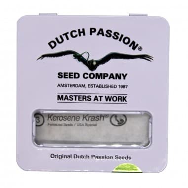 KEROSENE KRASH FEM X3-DUTCH PASSION