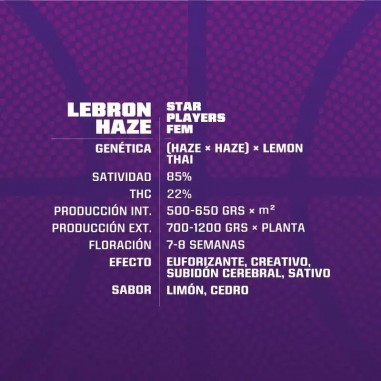 LEBRON HAZE FEM X2-BSF