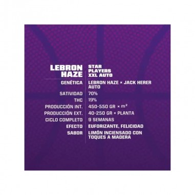 LEBRON HAZE XXL AUTO X2-BSF