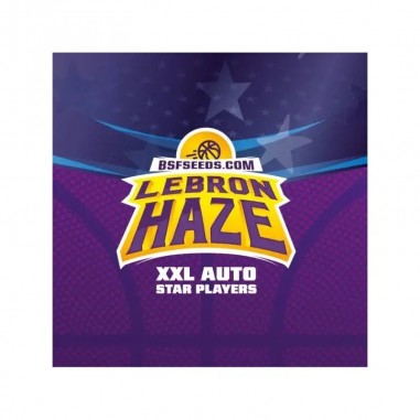 LEBRON HAZE XXL AUTO X2-BSF