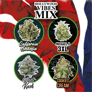 MIX HOLLYWOOD VIBE AUTO X4-DELIRIUM SEEDS