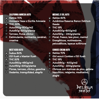 MIX HOLLYWOOD VIBE AUTO X4-DELIRIUM SEEDS