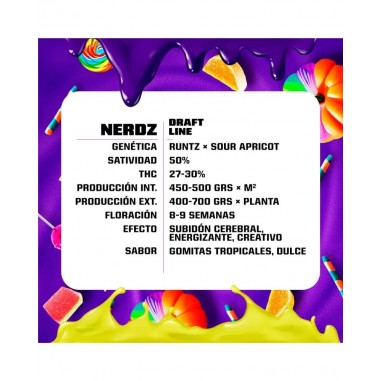 NERDZ FEM X2-BSF