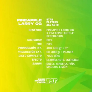 PINEAPPLE LARRY OG XXL AUTO X4-BSF