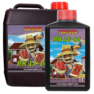 PK 13/14 1LT-TOP CROP