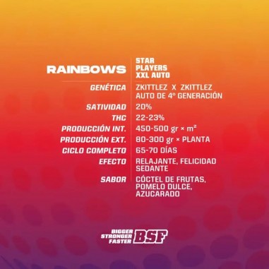 RAINBOWS XXL AUTO X12-BSF