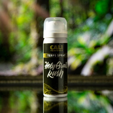 TERPS SPRAY AROMA HOLY GRAIL KUSH 5ML