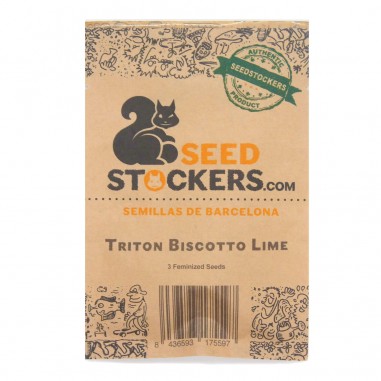 TRITON BISCOTTO LIME FEM X3 - SEEDSTOCKERS